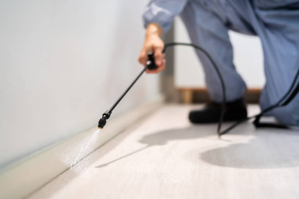 Licensed Mosquito Control service in Hudson, TX - Nex Pest Control