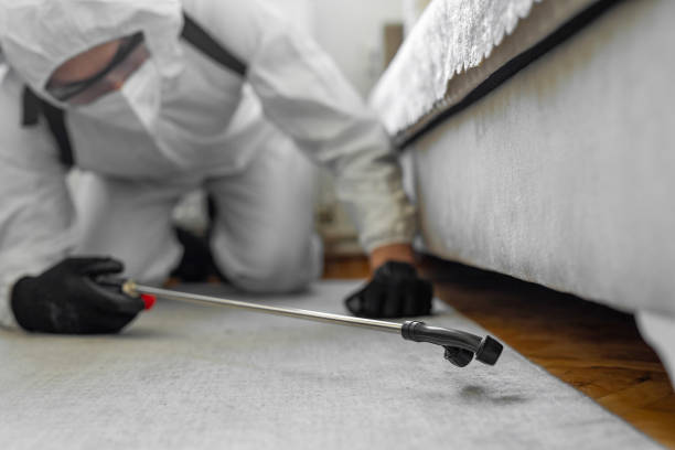 Professional Mosquito Control technician working in Hudson, TX