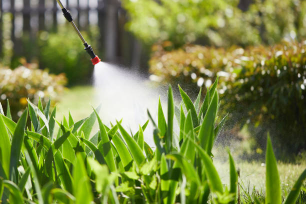 24/7 Emergency Mosquito Control experts in Hudson, TX