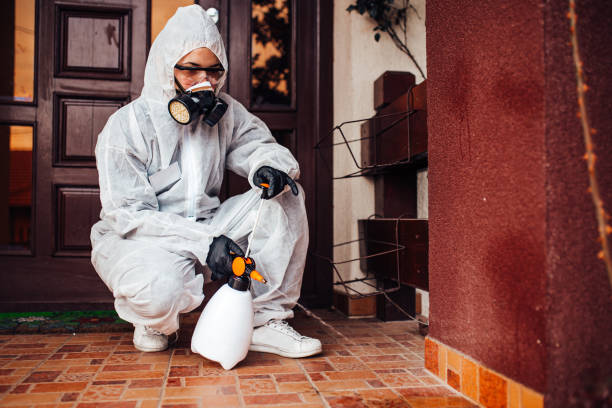 Reliable Mosquito Control contractor in Hudson, TX by Nex Pest Control